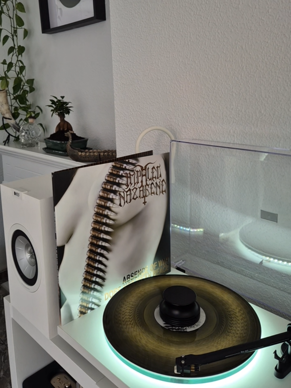 @r.vinylcollector