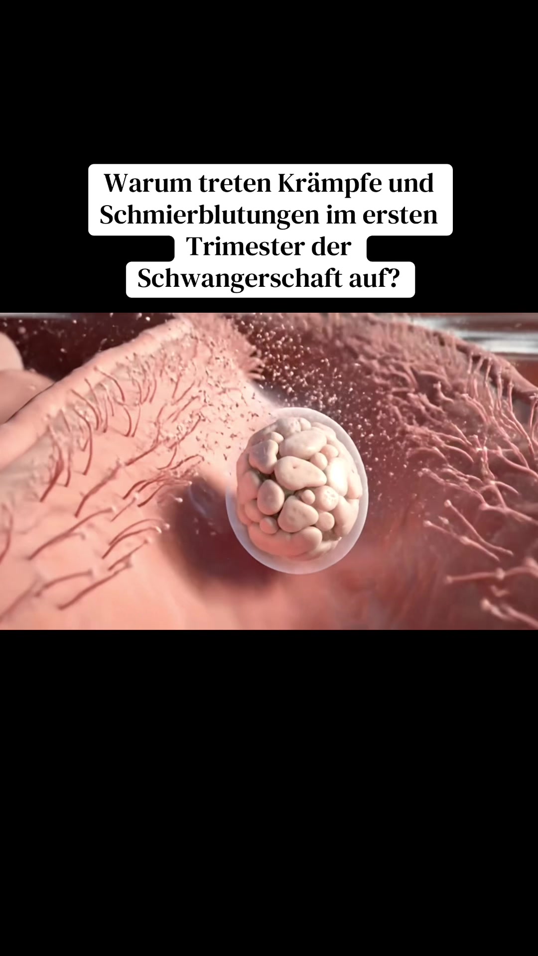 @smartdoctor