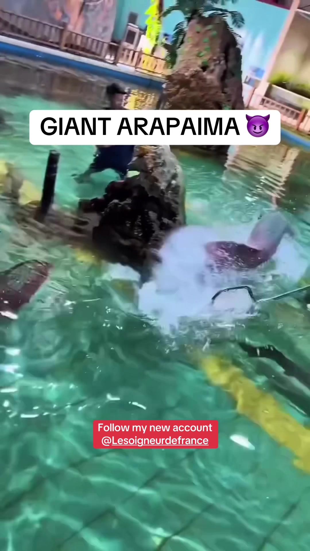 @OxarfisH ™