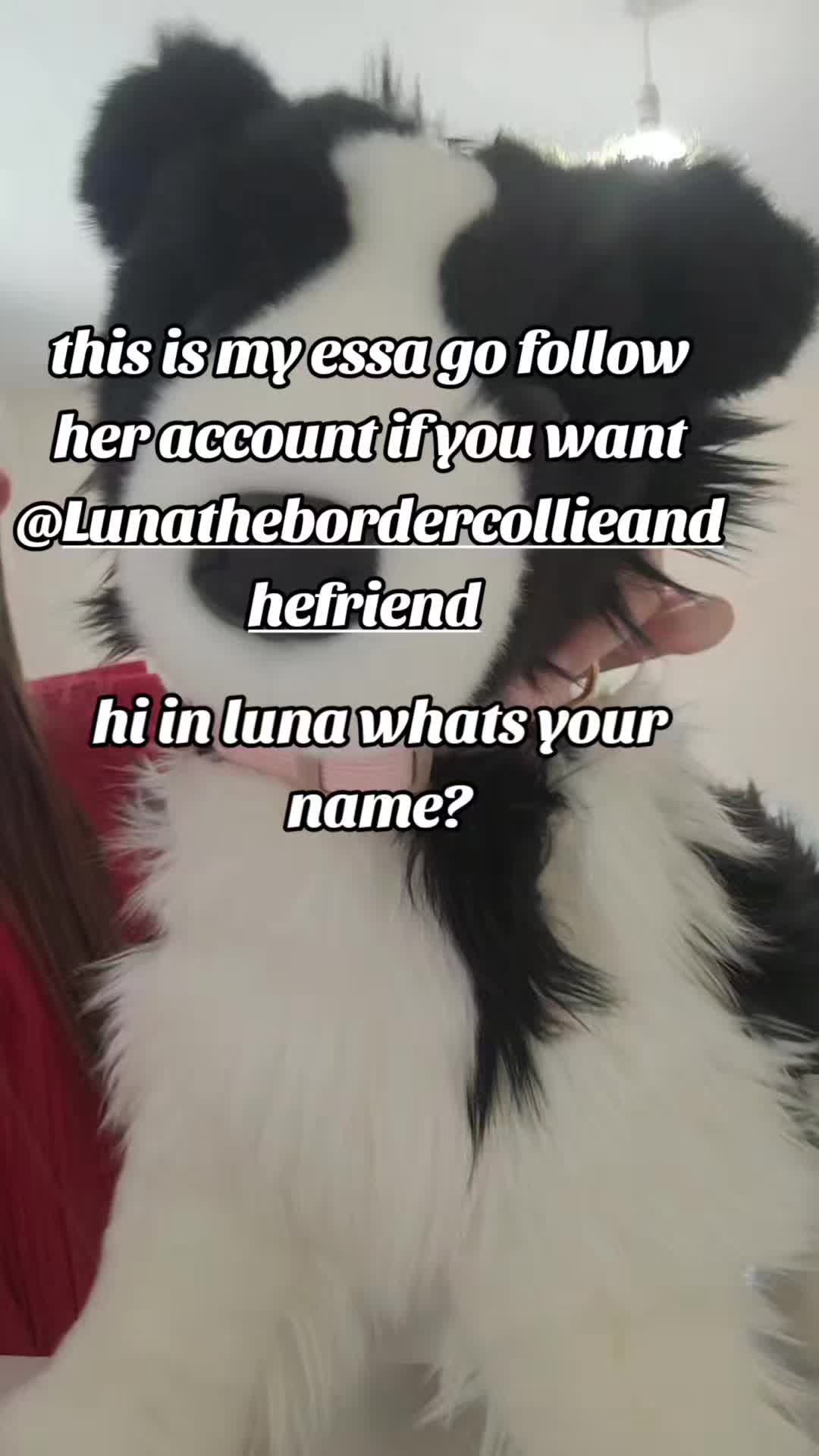 @shaneice