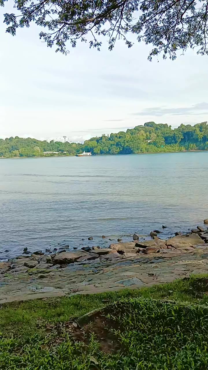 @sintadewi