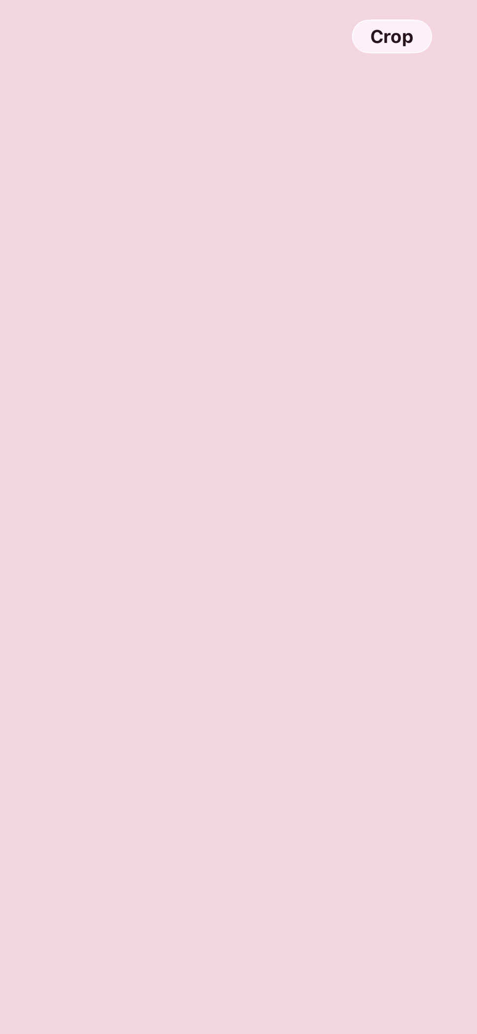 @Mirah 🧁