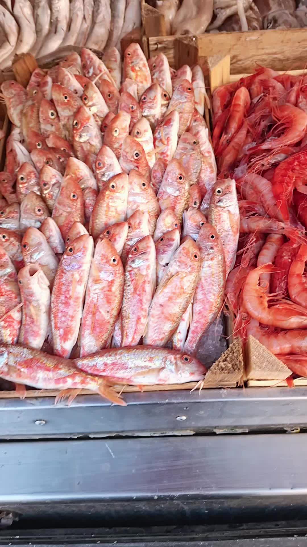 @Pescheria Da Stefano