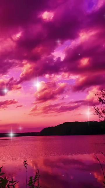 @💕🌸𝓢𝓪𝓲🌸💕