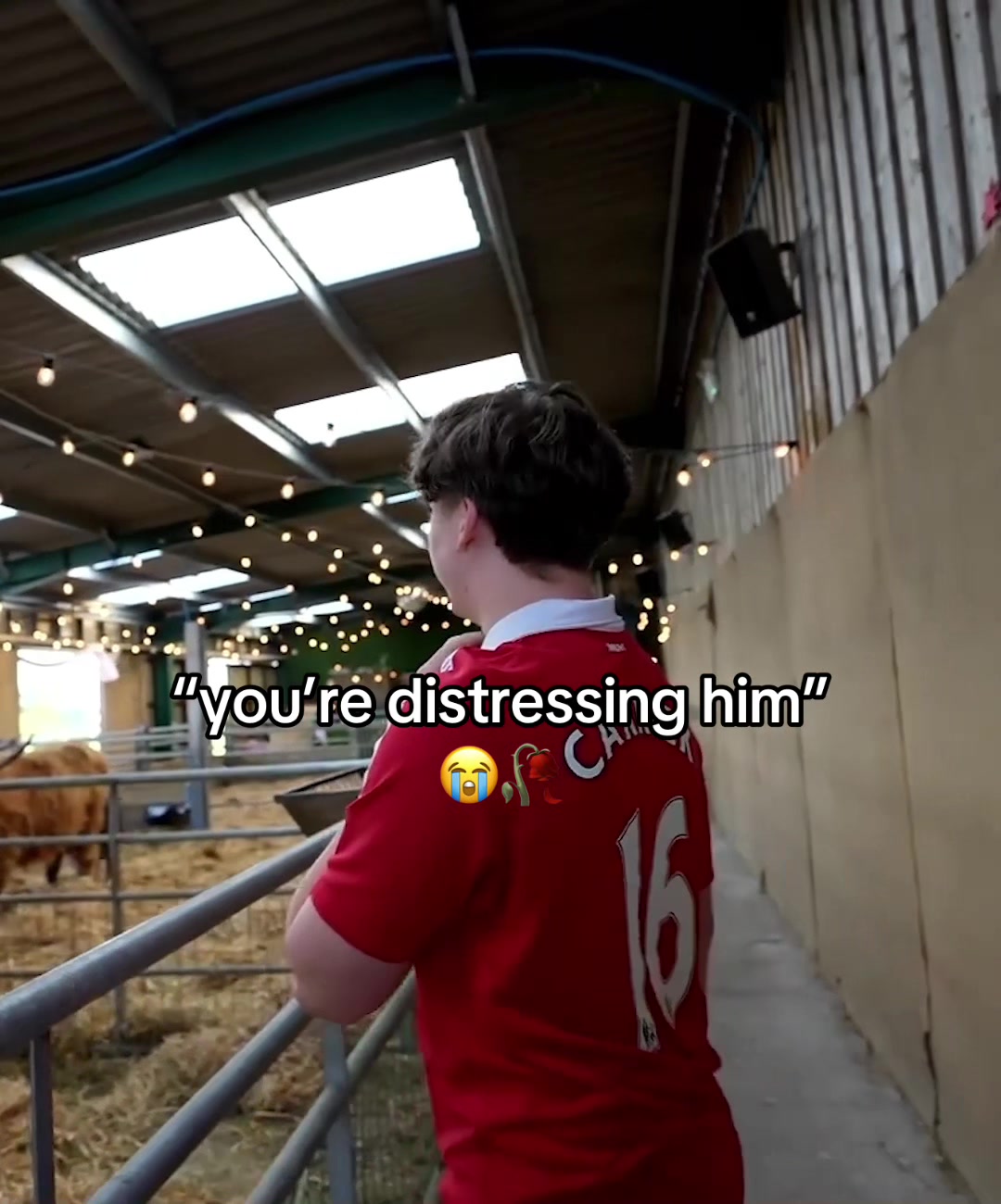 @Jakeydavies