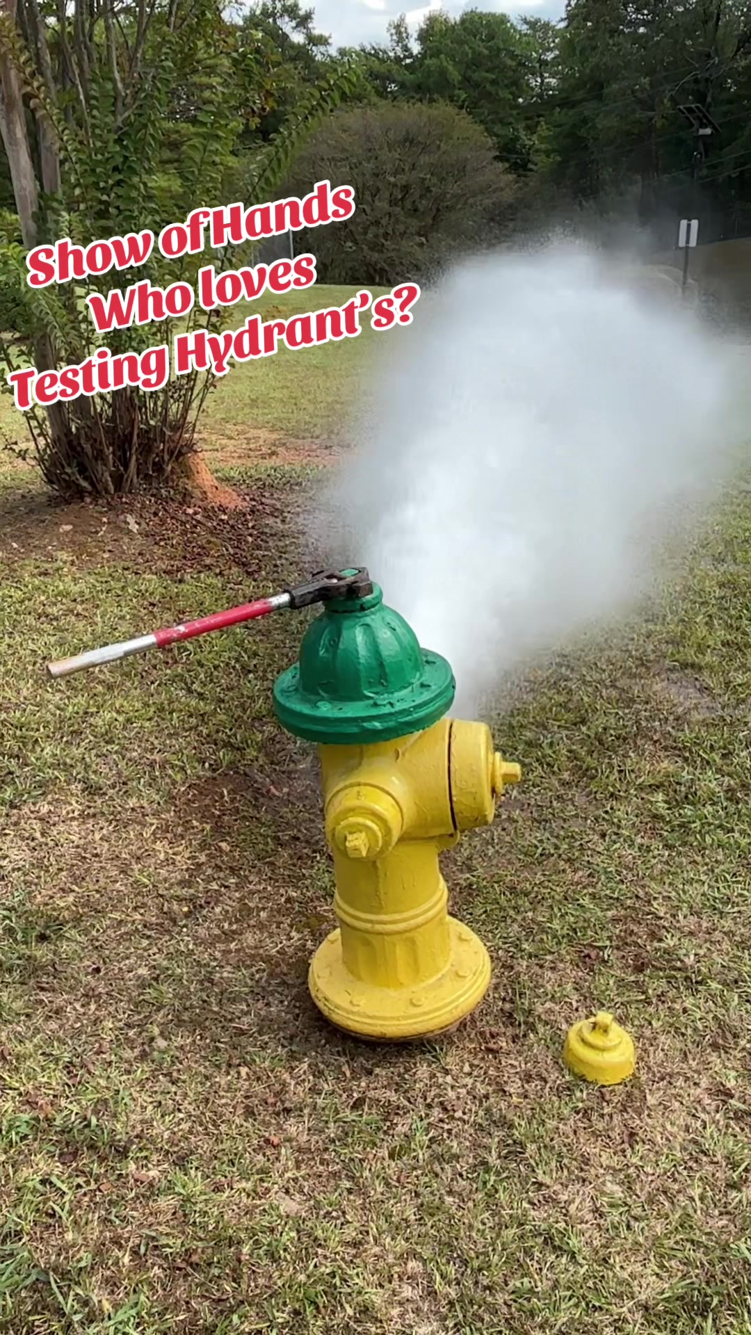 @MrLawnGuy