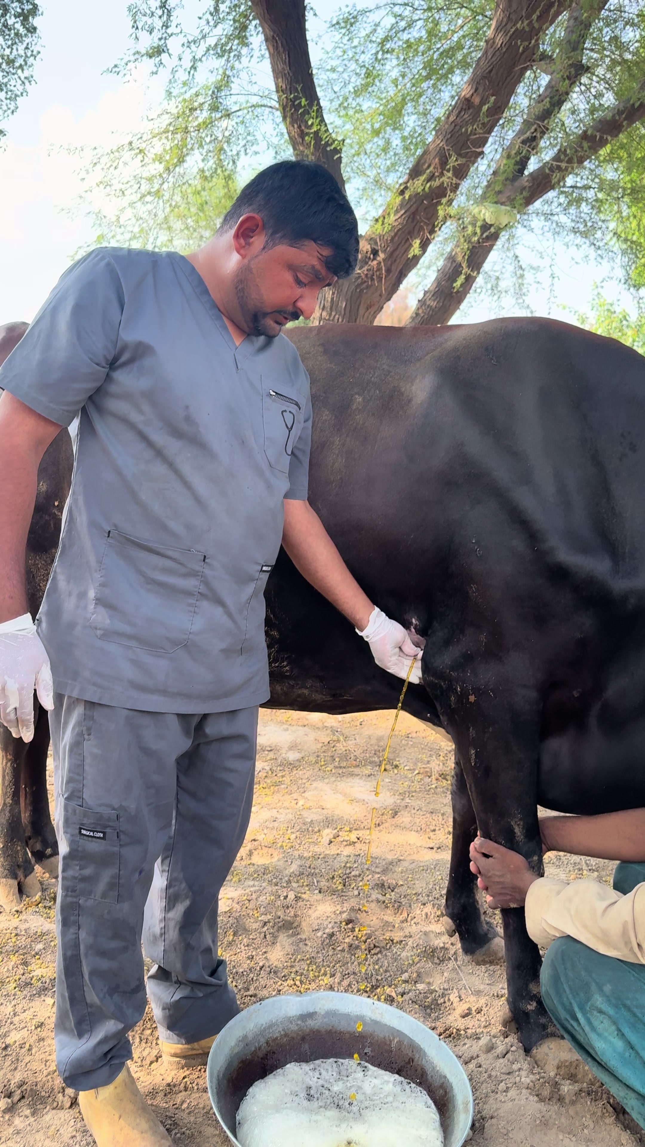 @vet.dr.mohsin4800