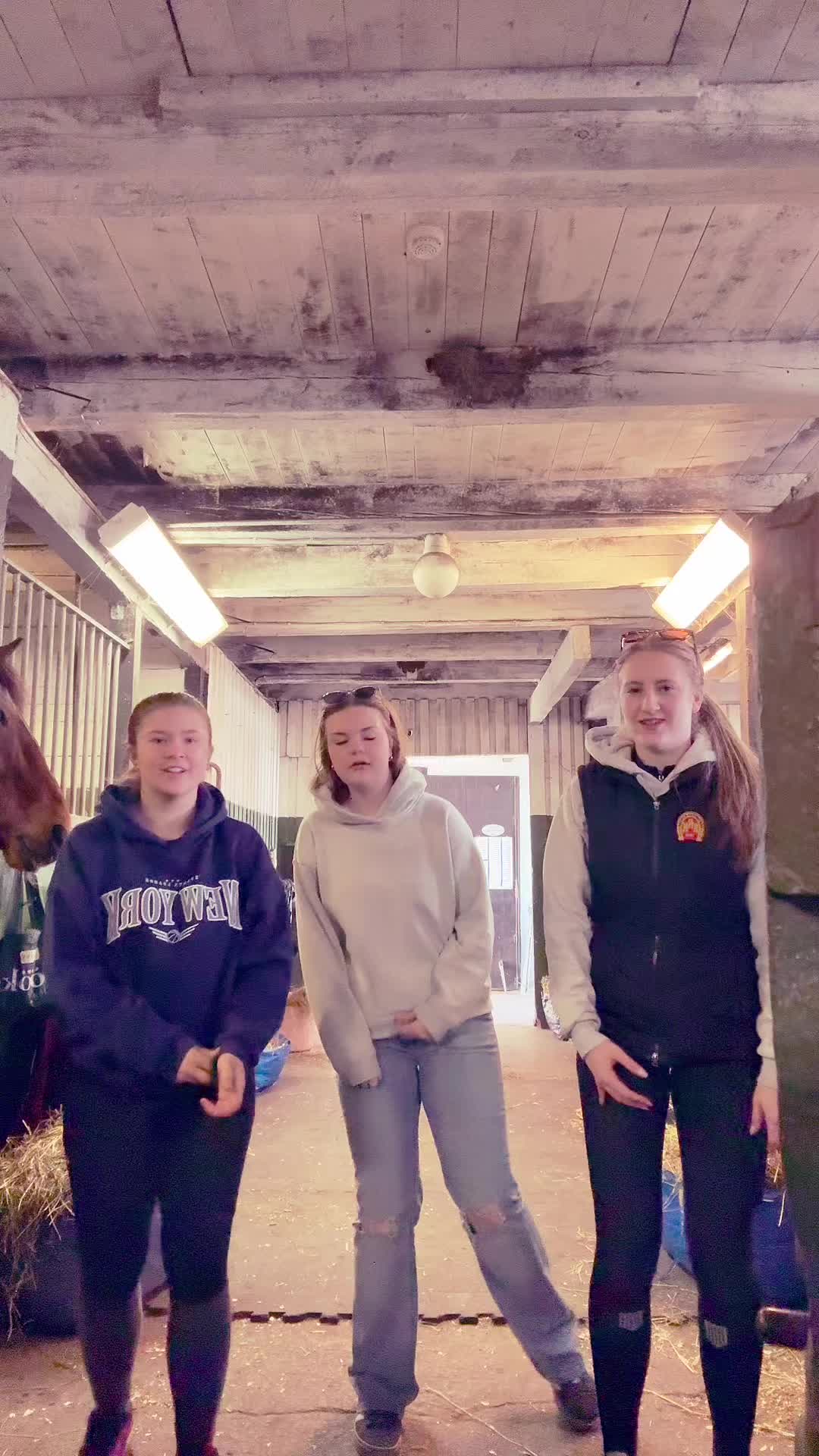 @Tintin Giljarås❤️