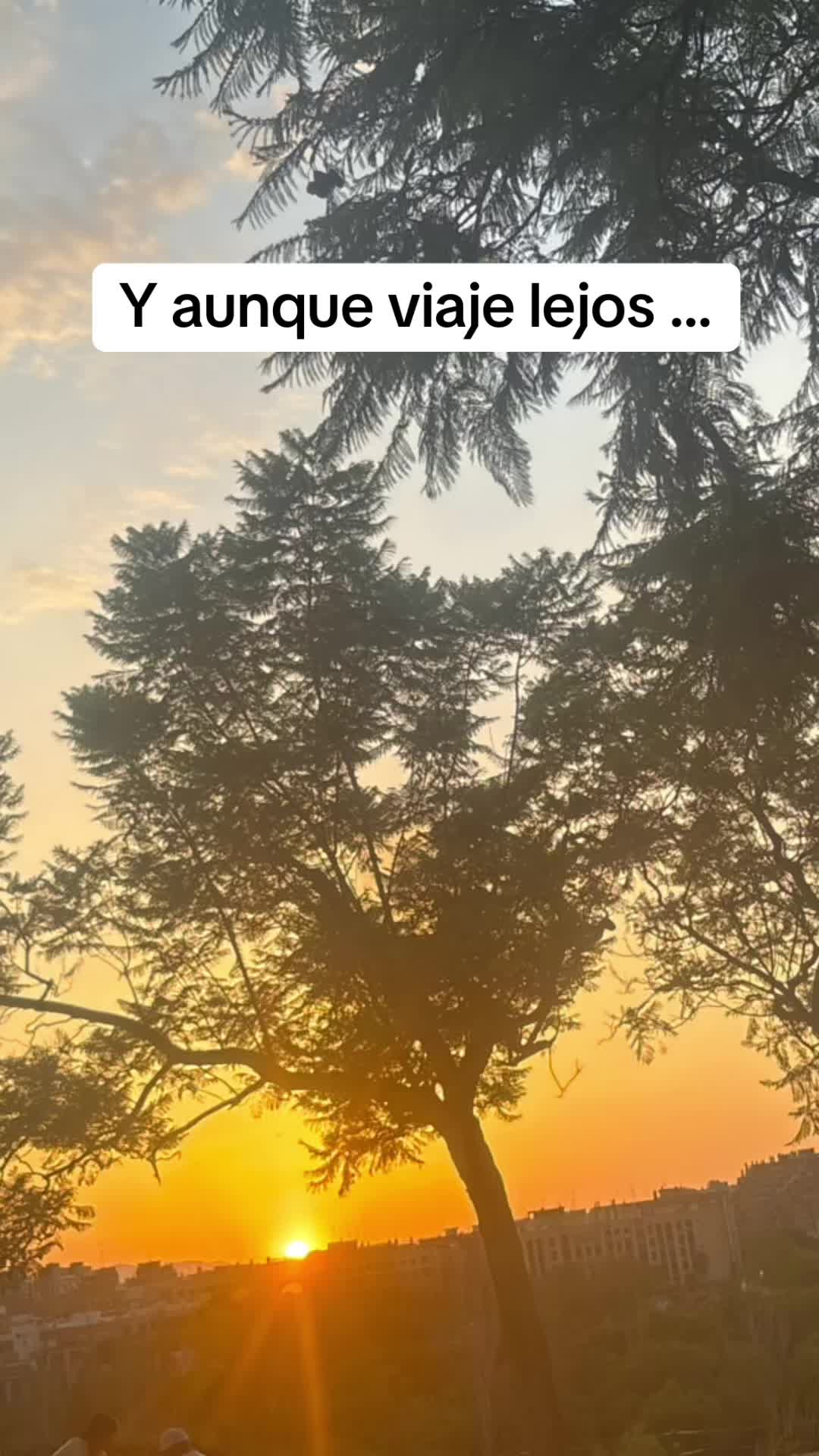 @ainhoa 🎗