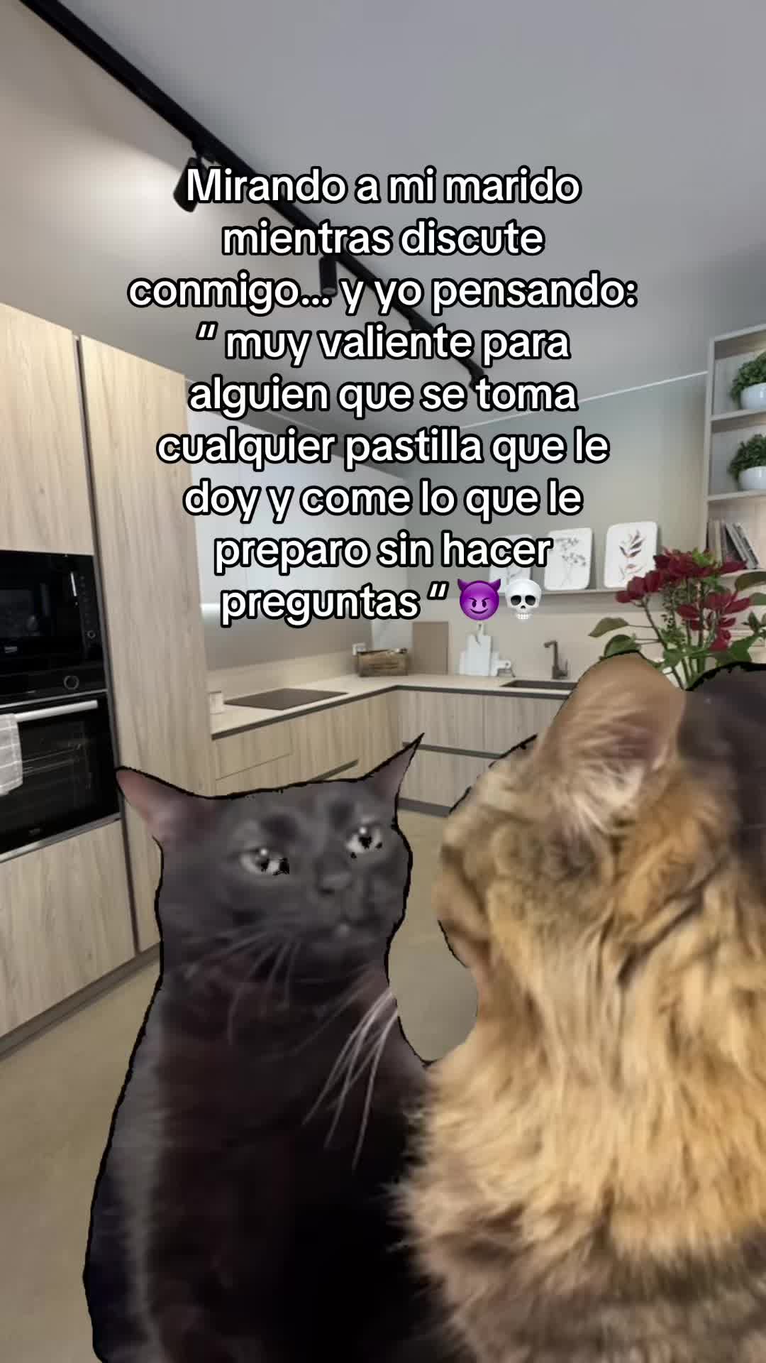 @🌙 𝓐𝓷𝓭𝓻𝓮𝓪 🌙