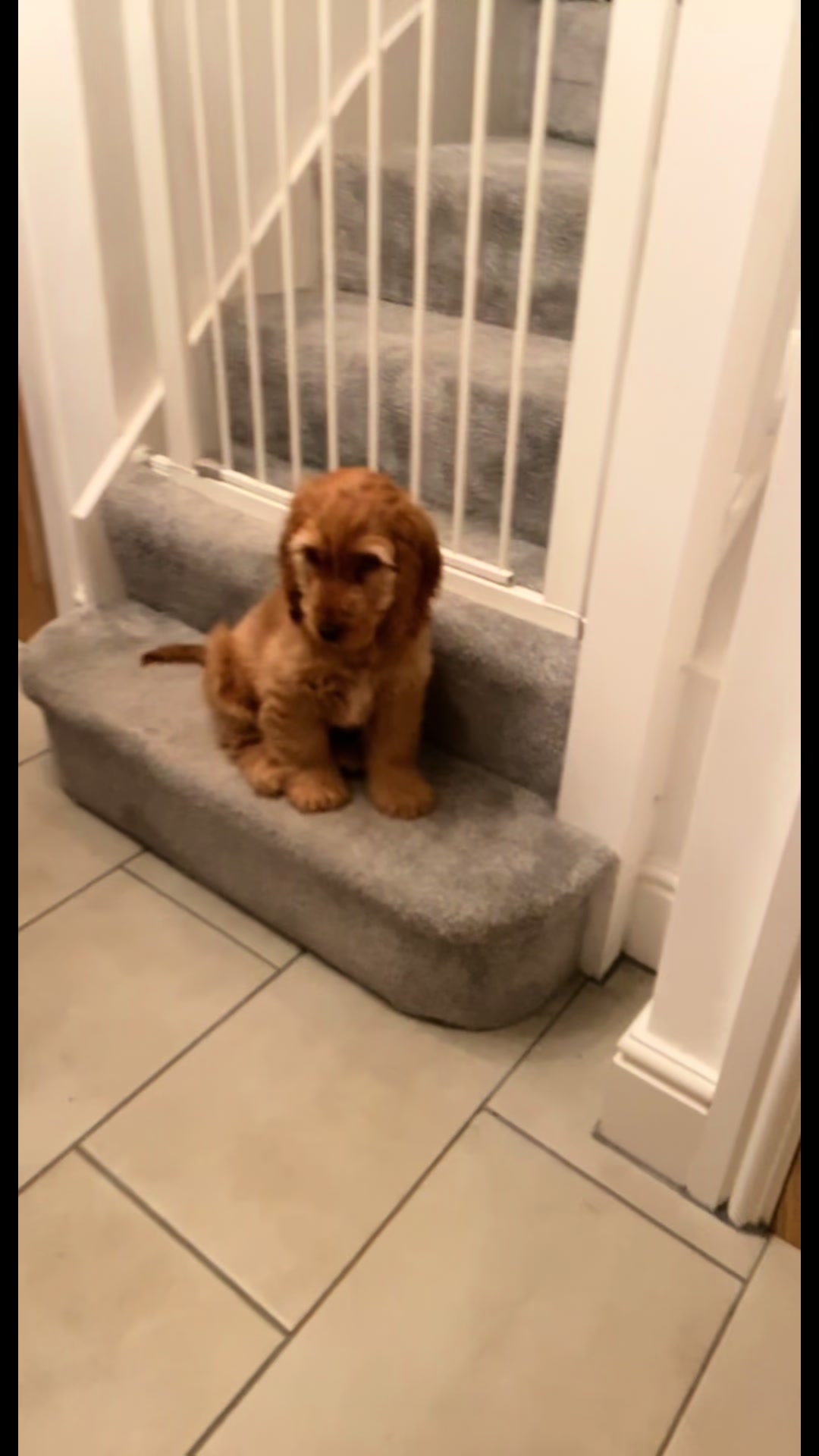 @Rach & Milo 🧡