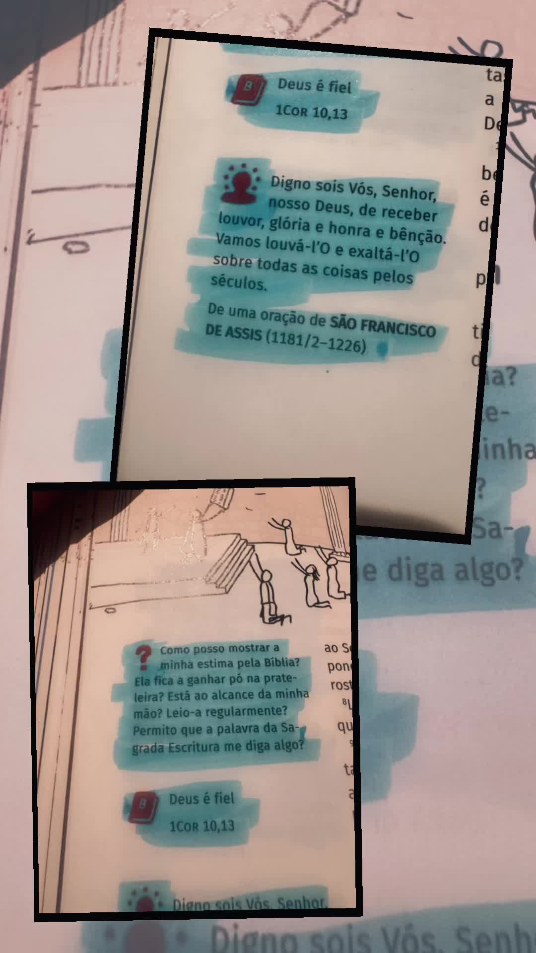 @Sofia Inácio