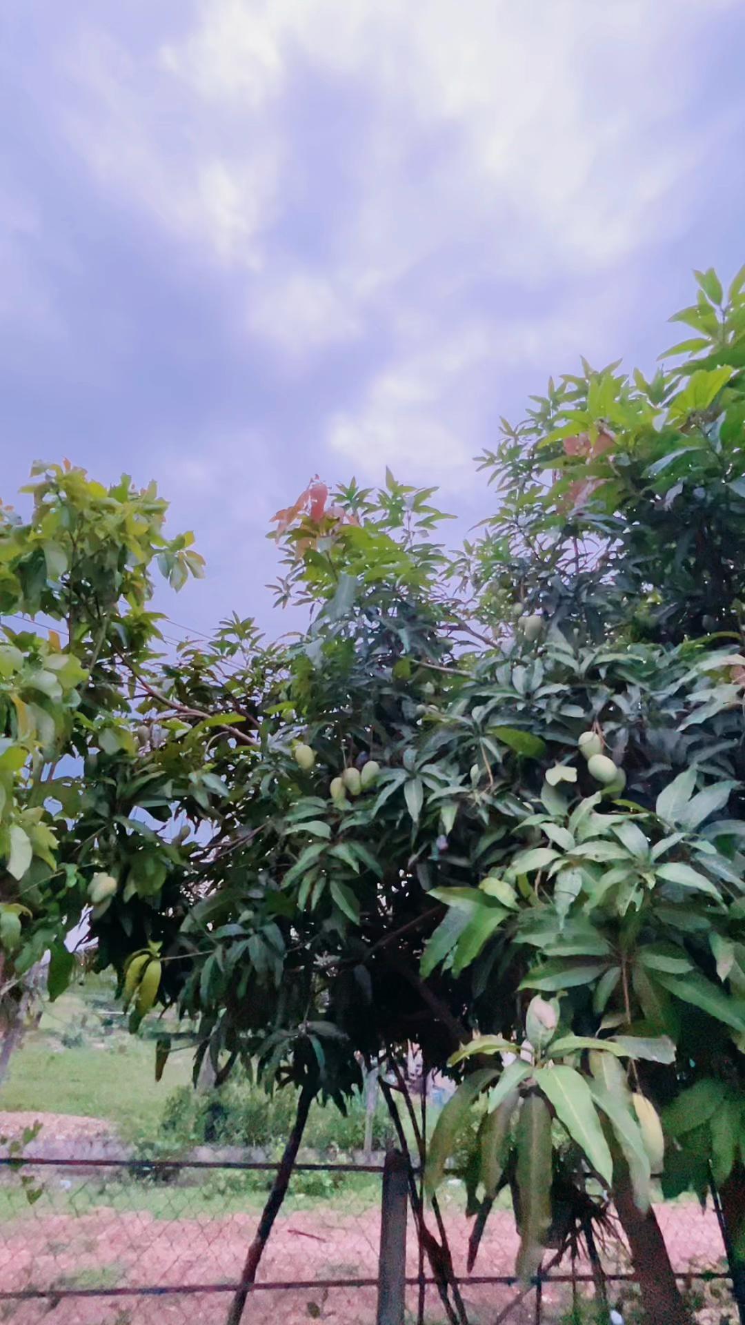 @ຄຳ ຄຳ