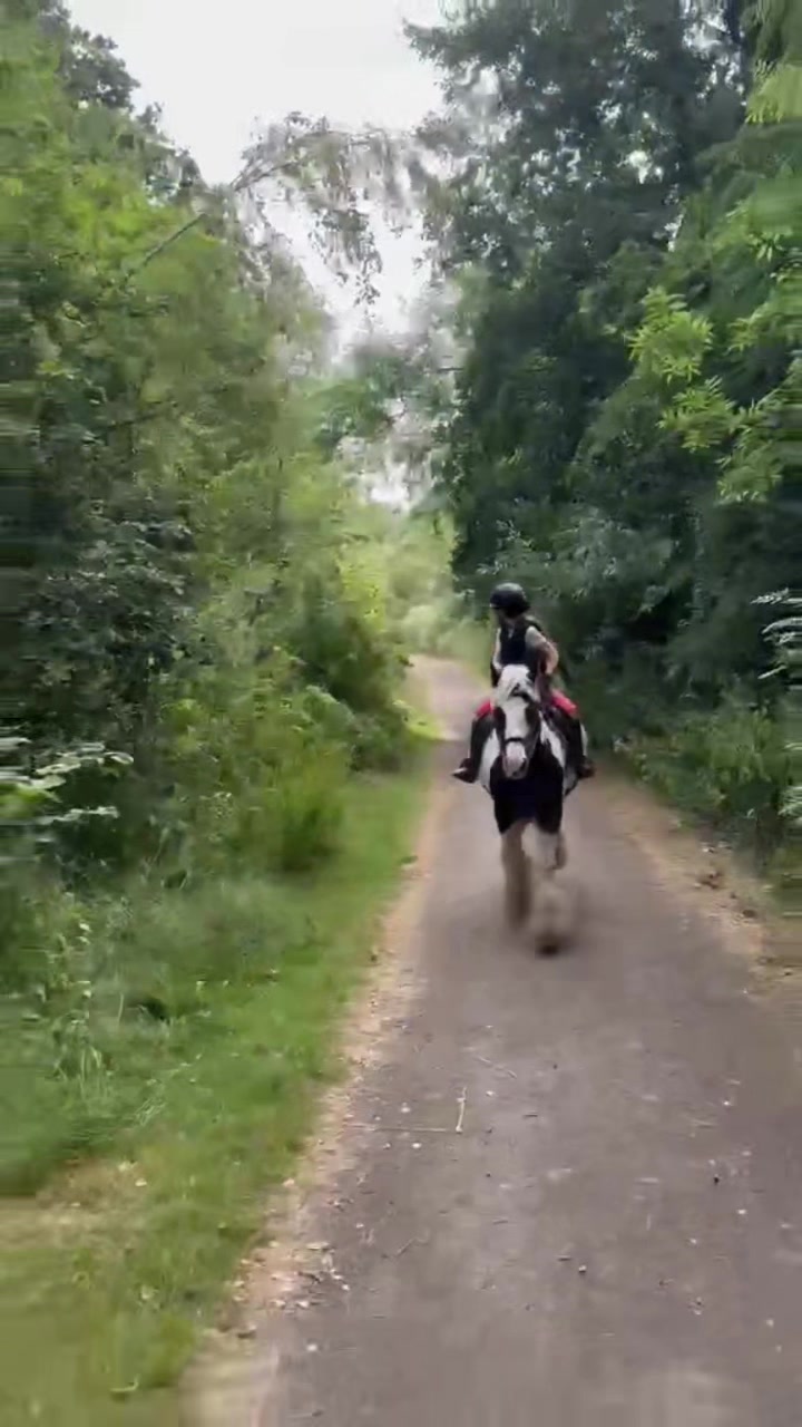 @LottiesHorseAdventures🦄🐴