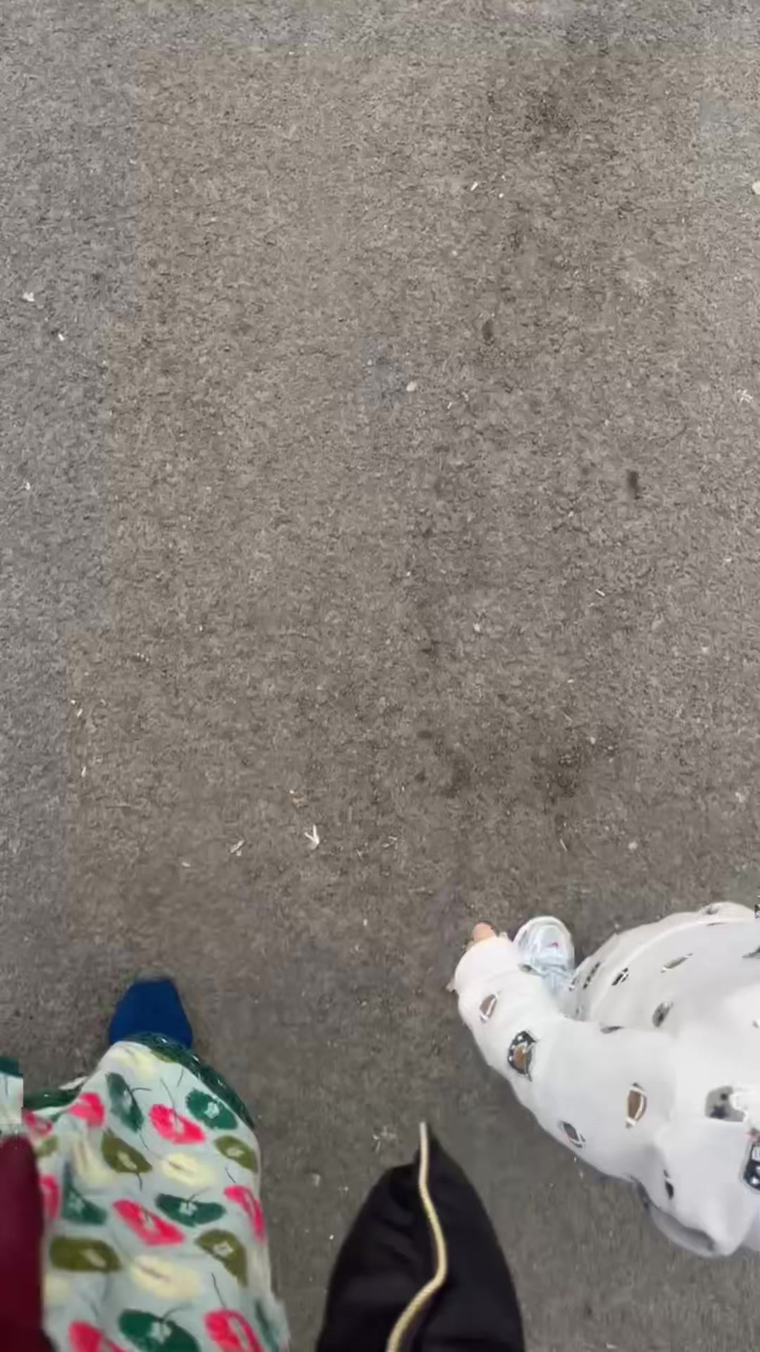 @zainuu🦋✨