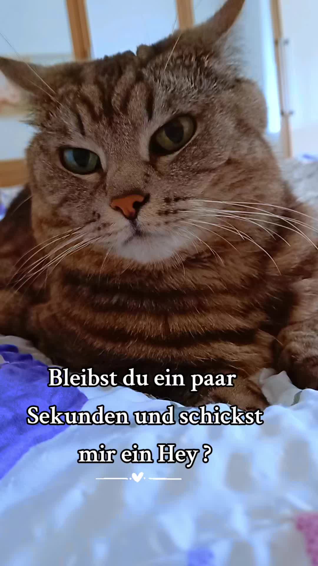 @ingrid