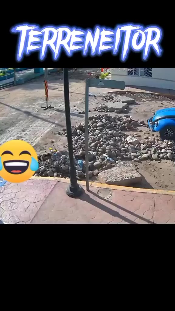 @El L&iacute;der De Los Escarabajos 👑