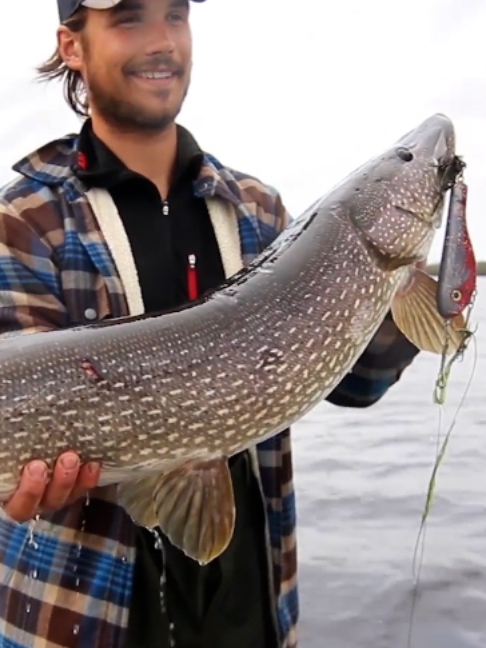 @Fishing TV