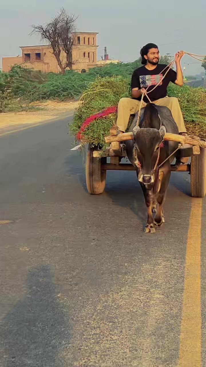 @farazmultani13