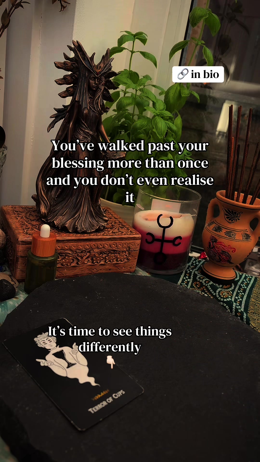 @Maple Magick