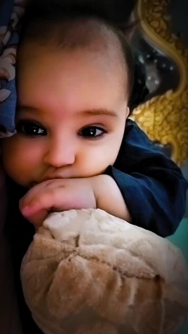 @꧁༺⚜️ شامیر ⚜️༻꧂