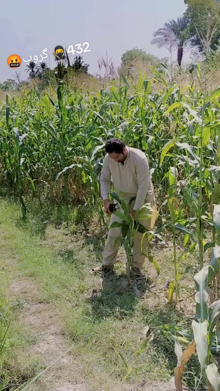 @سیدحیل🥷1