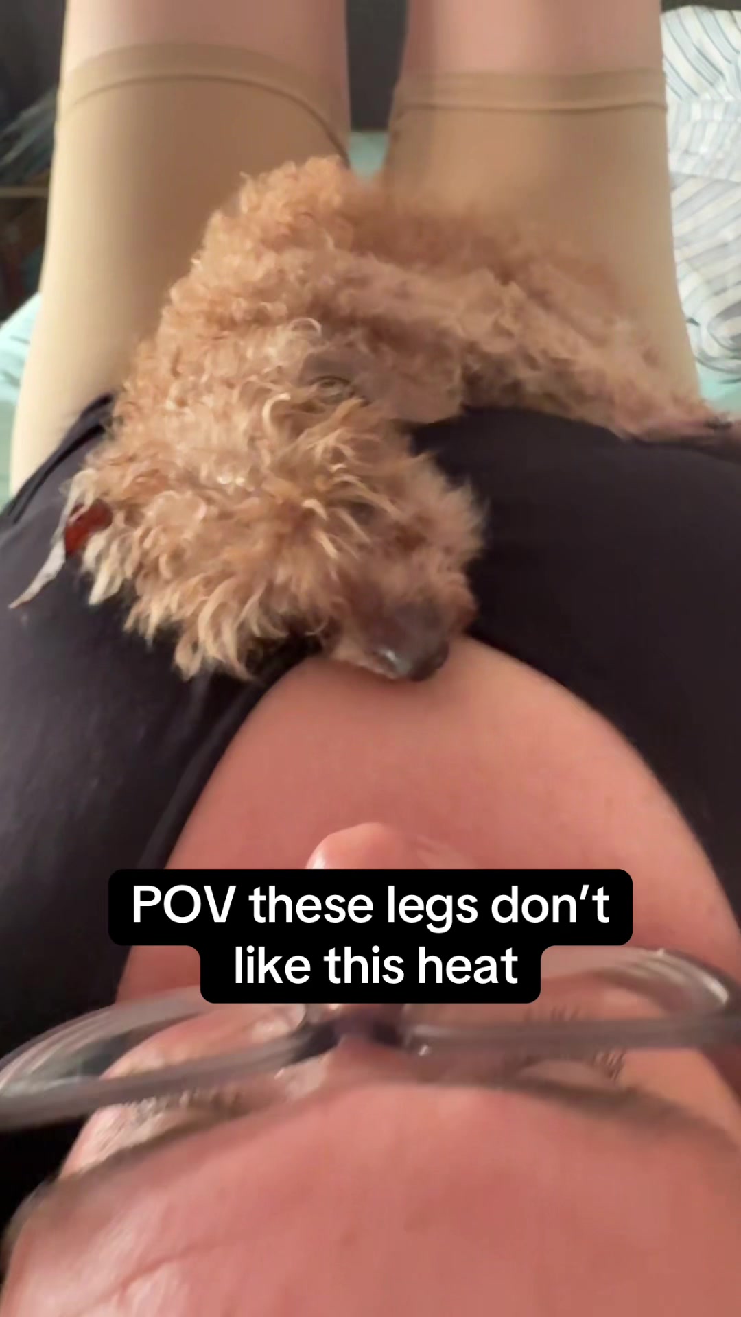 @motherofmultiplespecies