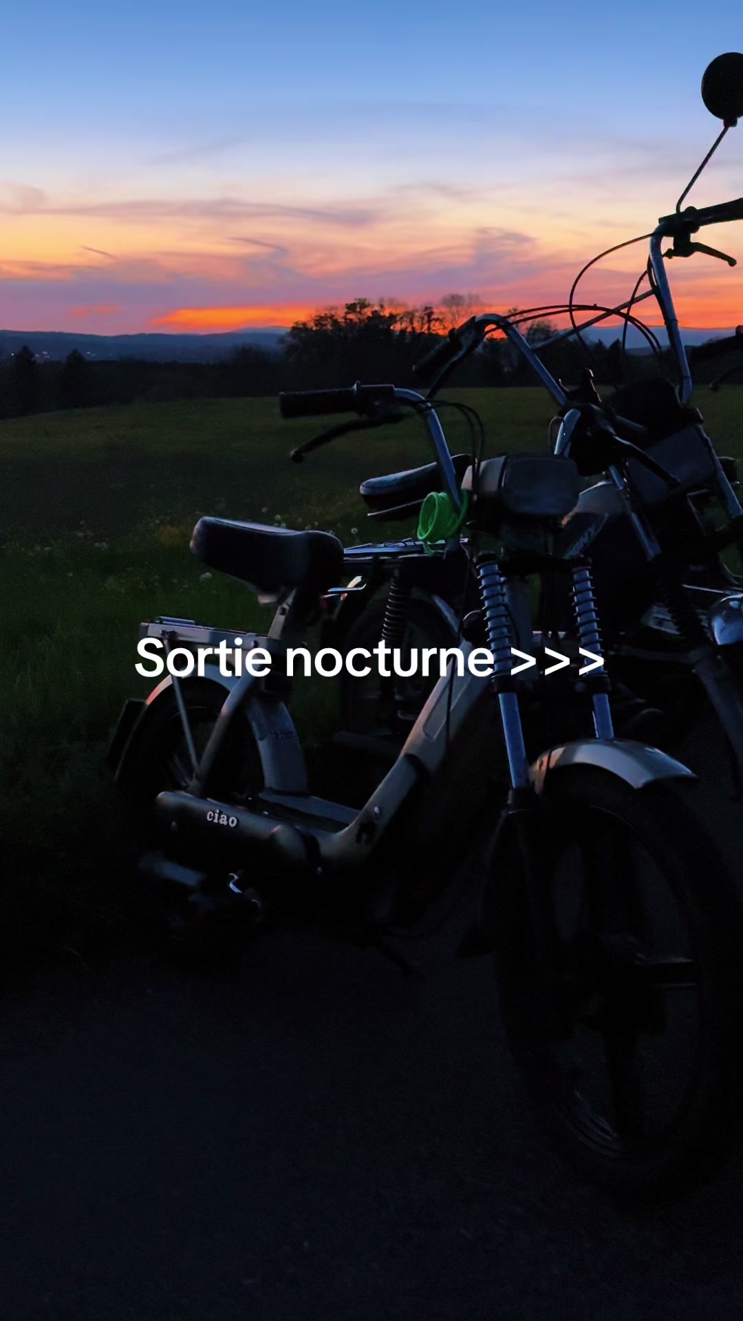 @Black_Puch_swiss