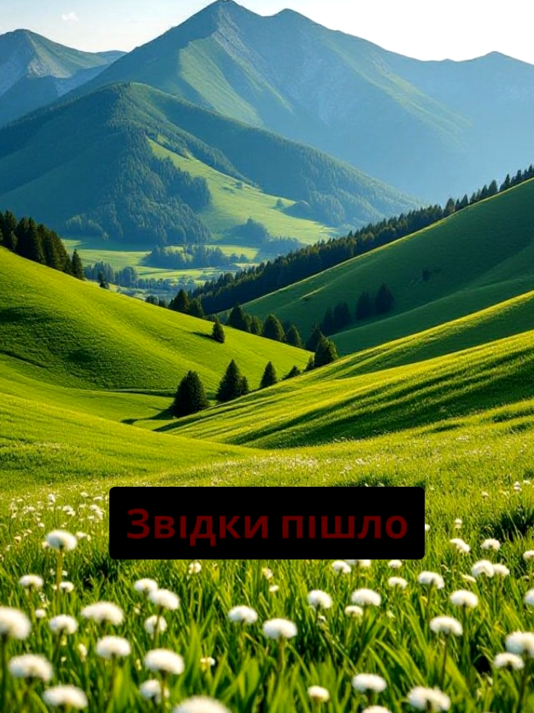 @INFOTEMNYA