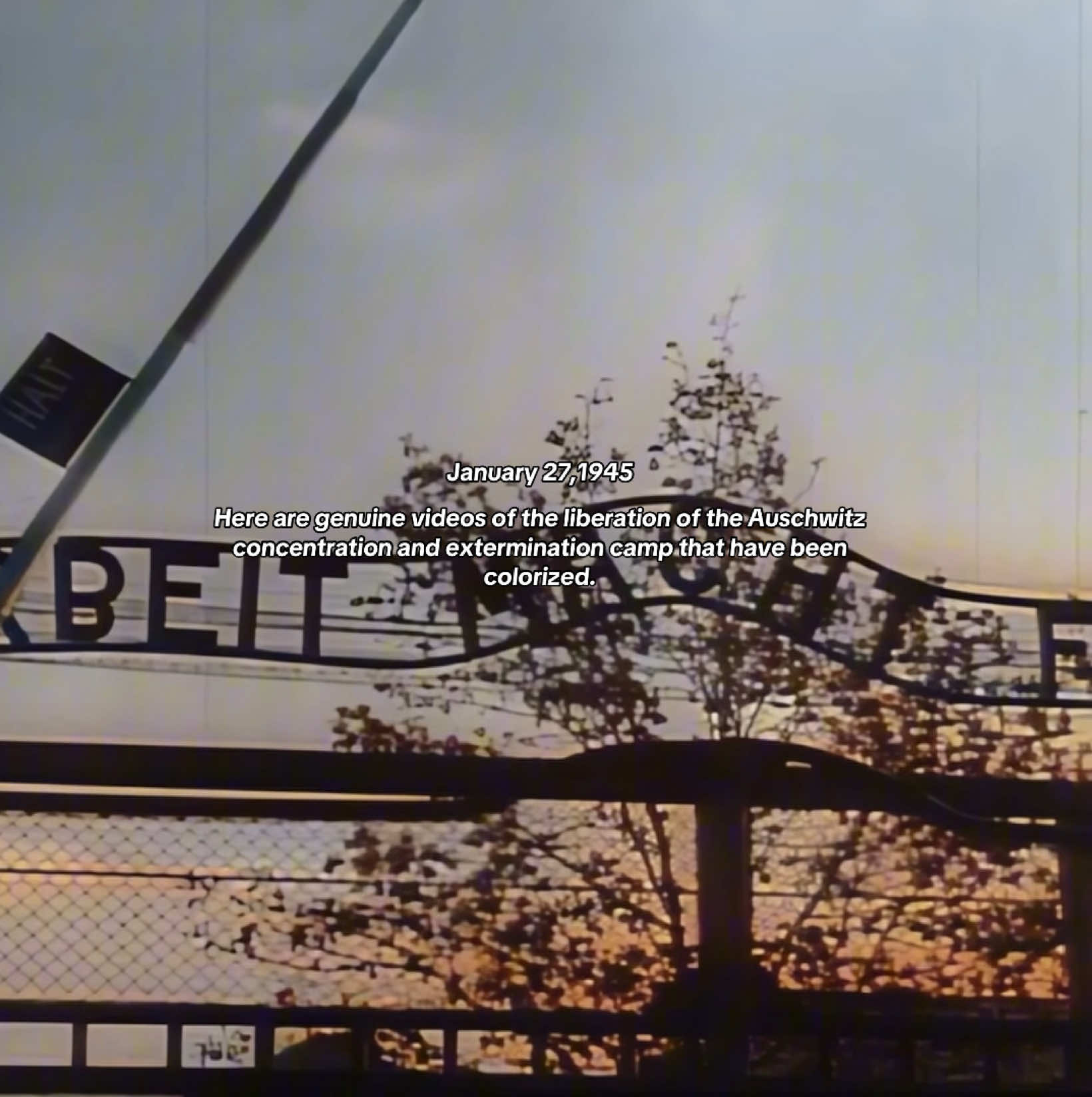 @Holocaust(memory page)