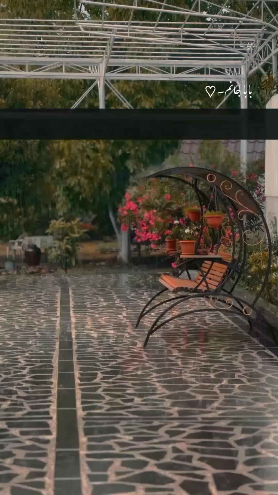 @𝙍𝙞𝙯𝙫𝙞 ♡