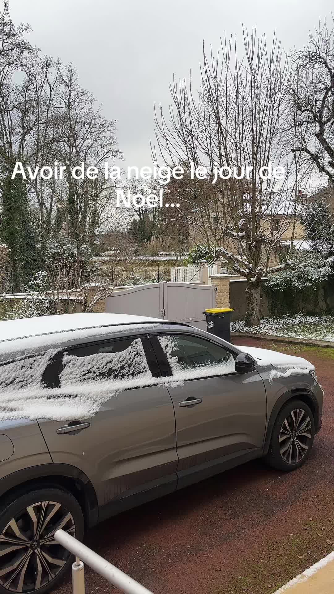@dolsota