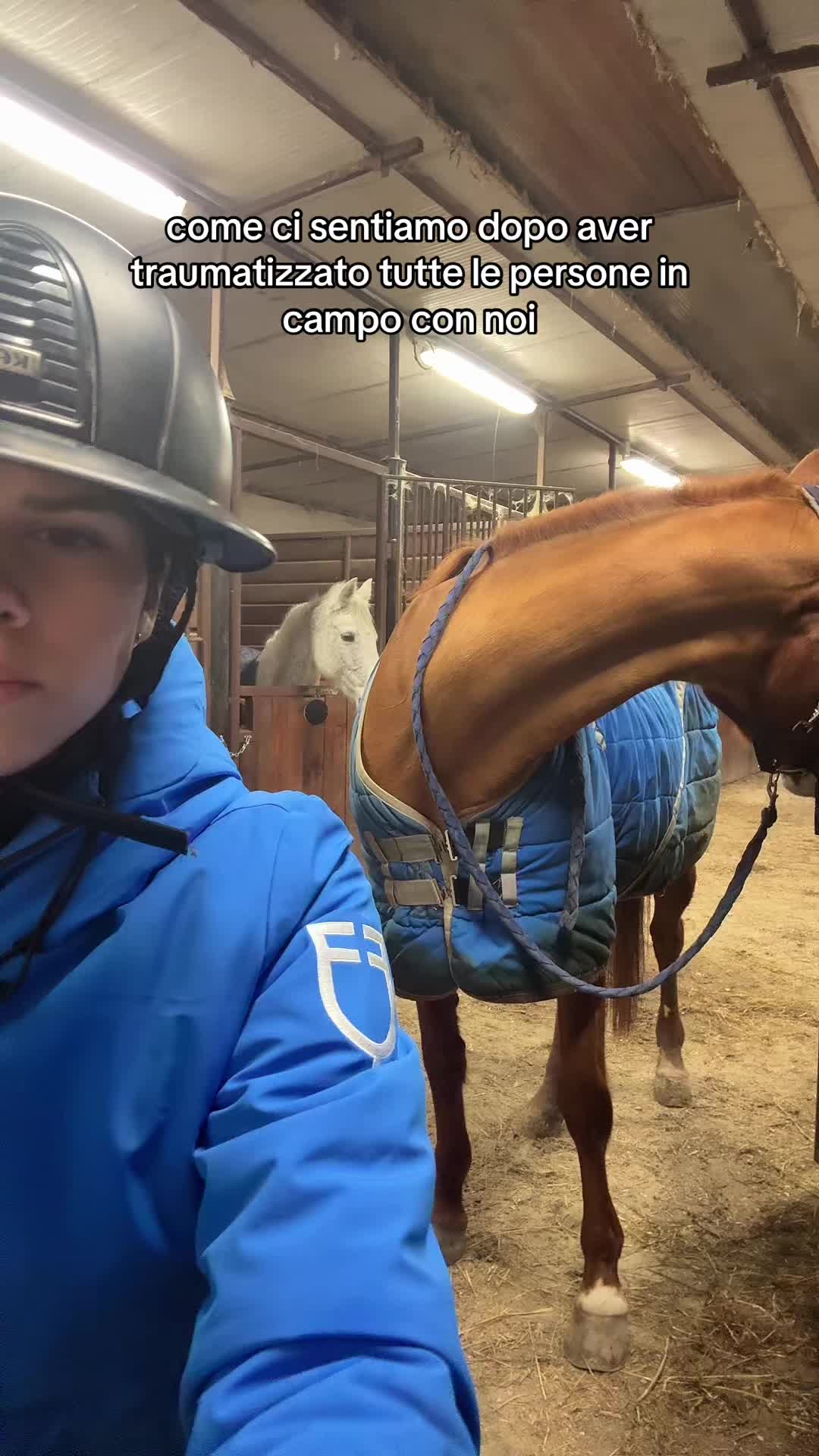 @aurora
