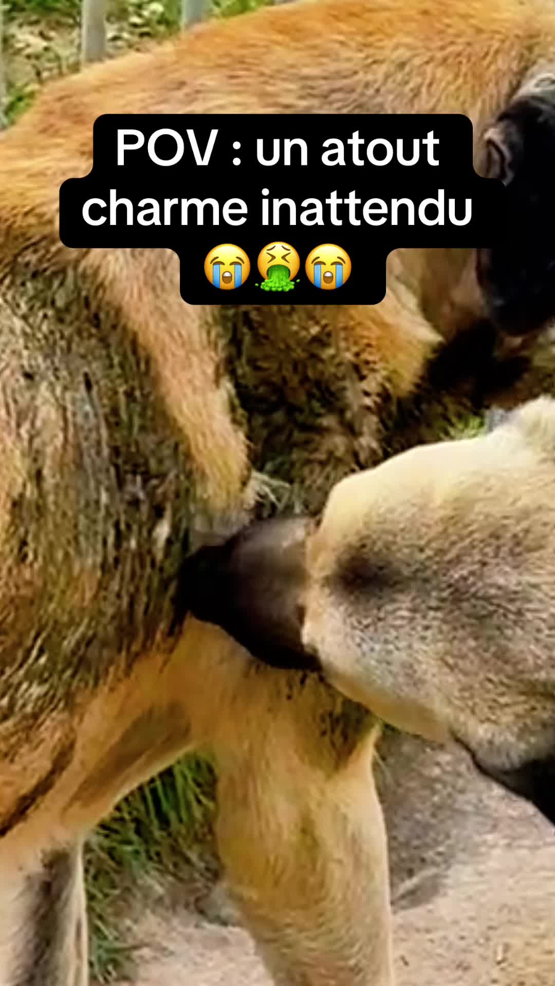 @Purekangal