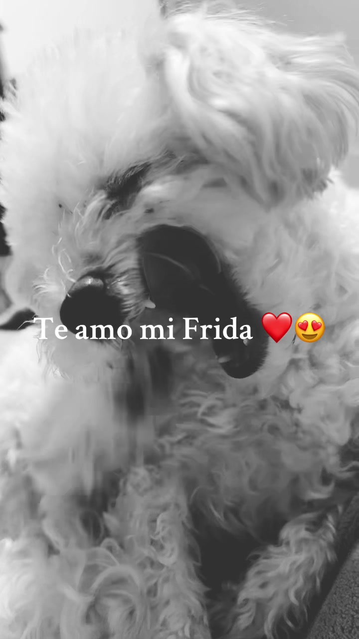 @Martina ximena
