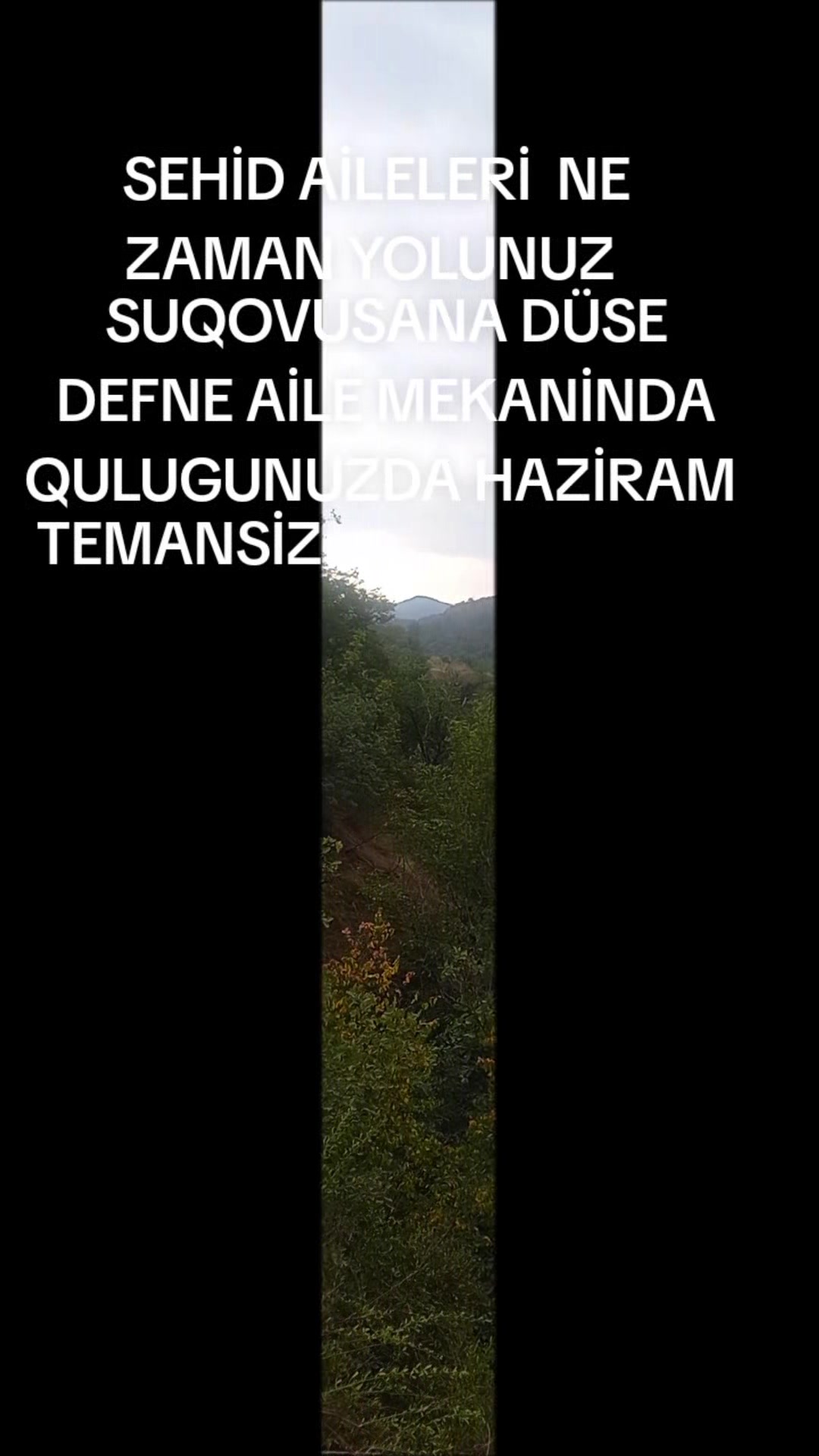 @TERANE NESİROVA