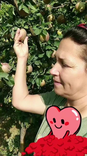 @🌺 &Ccedil;UKUROVALI 🌺