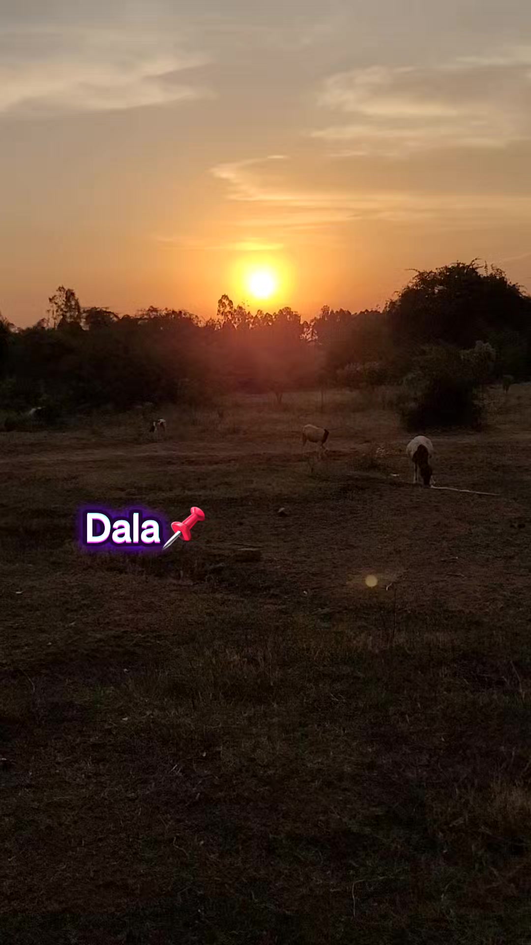 @Clara Koranga ❤️ (CK)