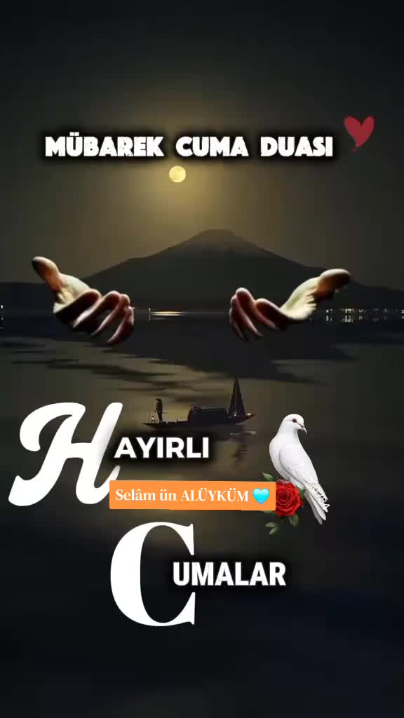 @Yusuf G&uuml;n493