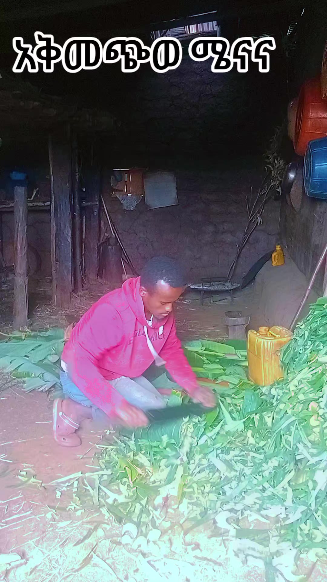 @asha ፓፓ 🦸♀️🦸♀️🦸♀️