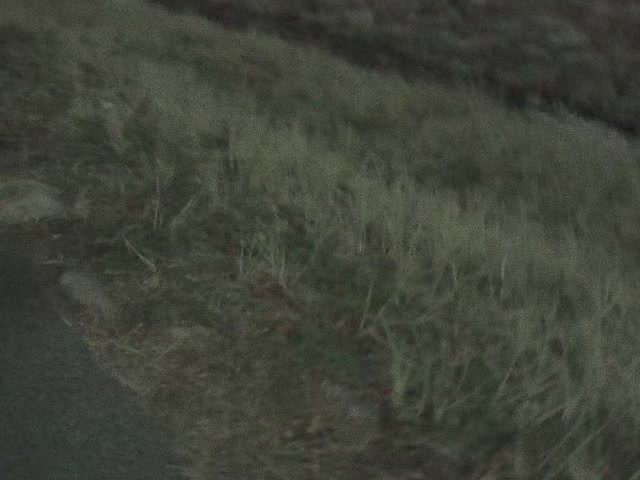 @tg: uitstelslaap 𖣂