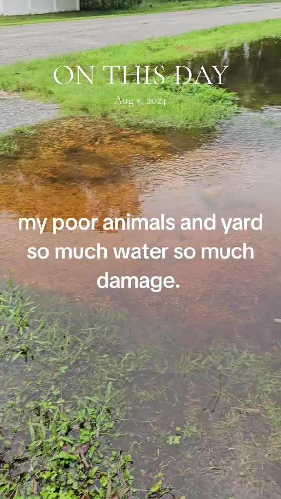 @Carla hale