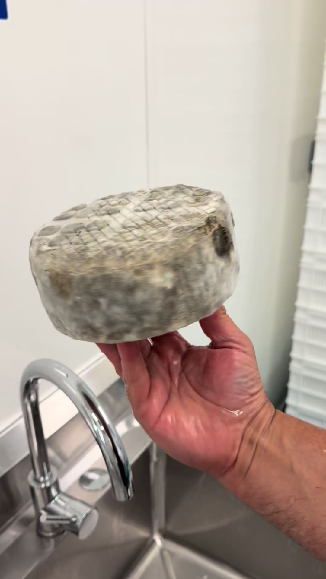 @Yorkshire pecorino