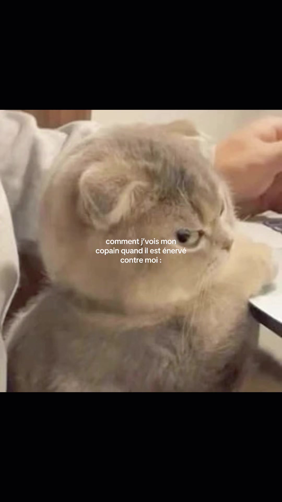 @๐๐จ๐ฐ๐ ๐ฅ๐ข ๐ดโ ๏ธ๐บ