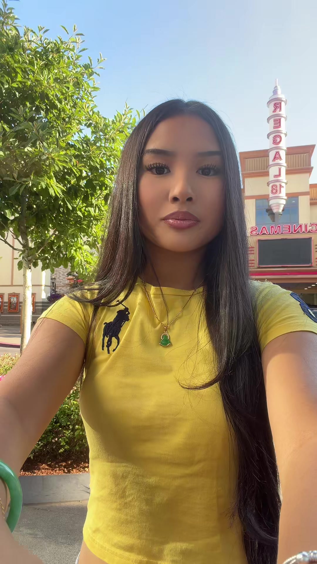 @user94782747