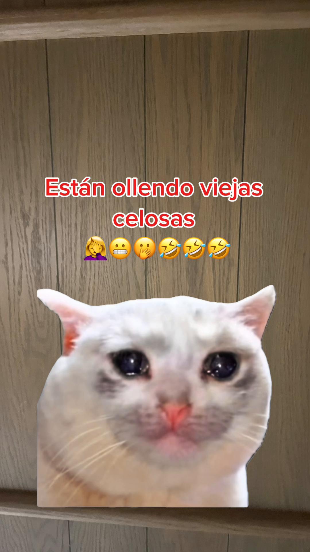 @꓄꒐꓄ꋬ ꃳꄲꆰ꒤꒐ꋊ
