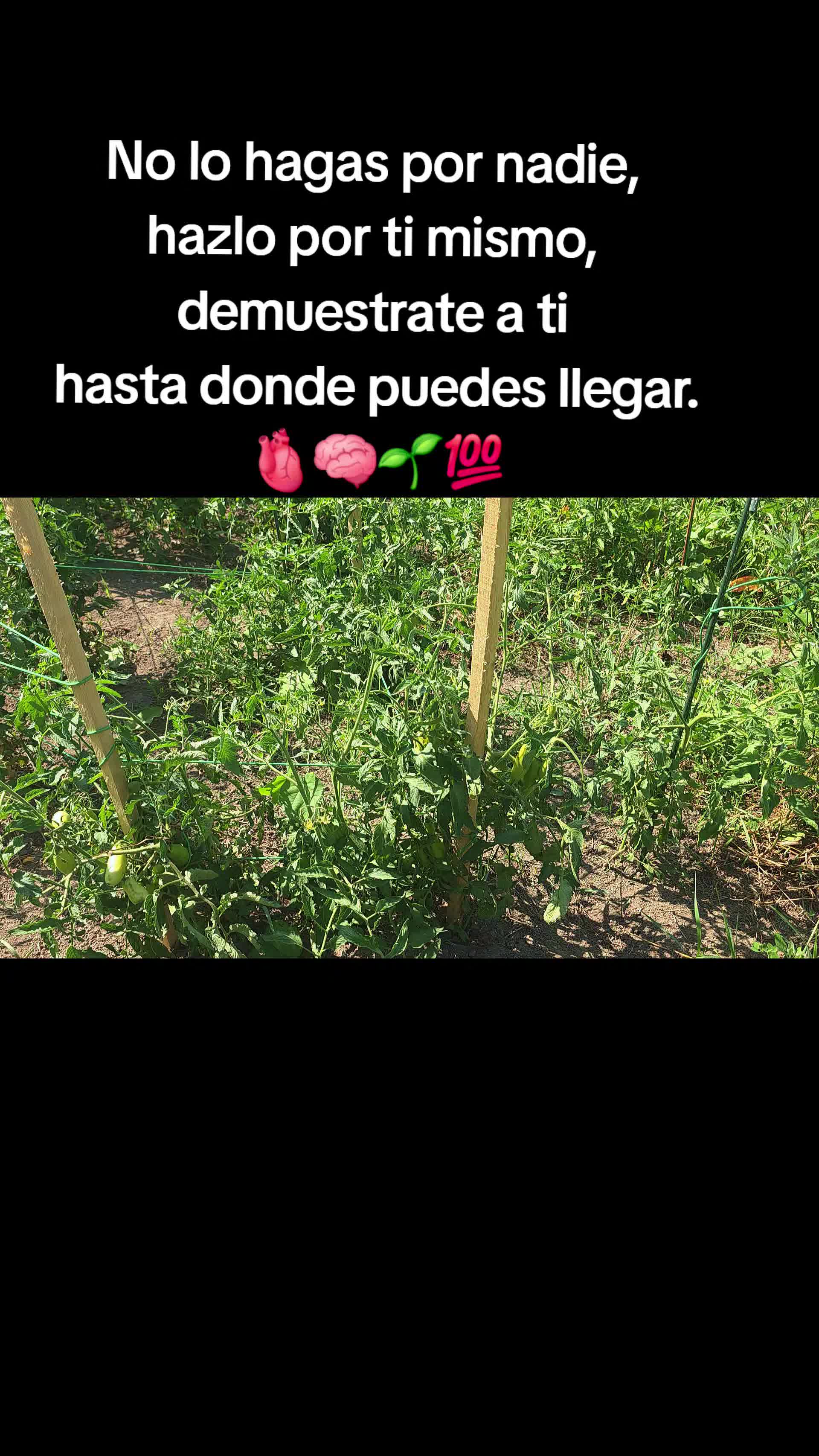 @𝙇𝙪𝙞𝙞502👨&zwj;🌾