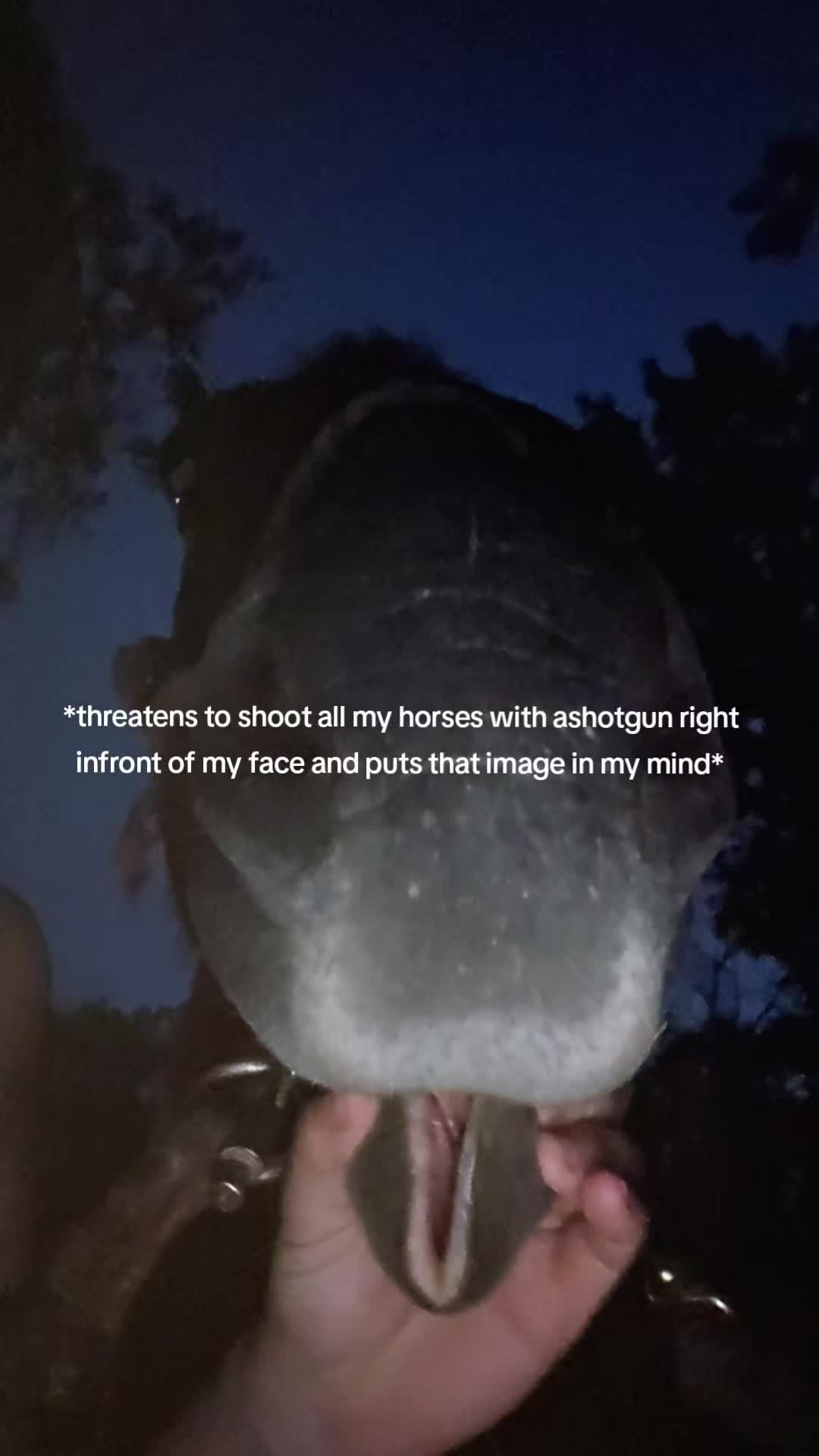 @that dumb little shit