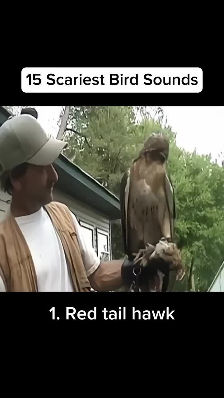 @knowledgecollector360