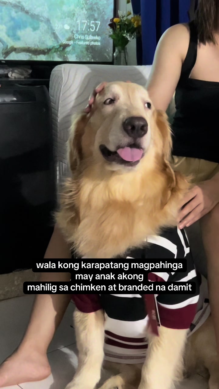 @aljerienianne